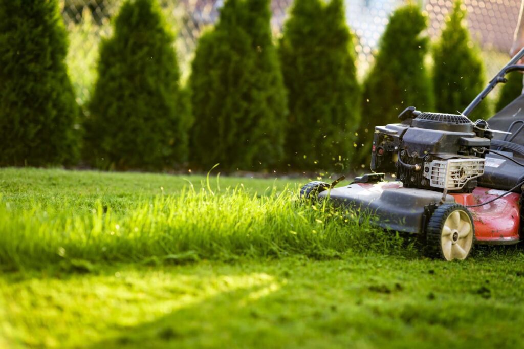 Common Mistakes to Avoid When Cutting Grass