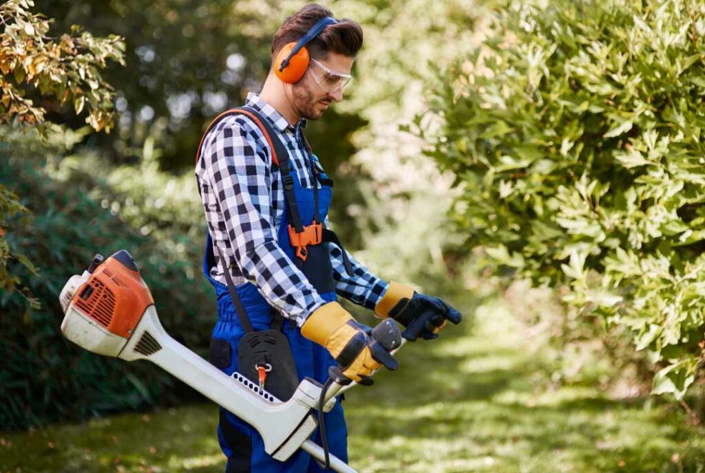 Cutting Edge Service: The Benefits of Professional Grass Cutting
