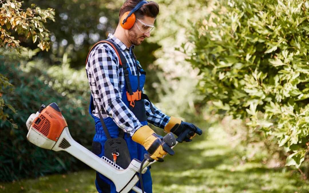 Cutting Edge Service: The Benefits of Professional Grass Cutting