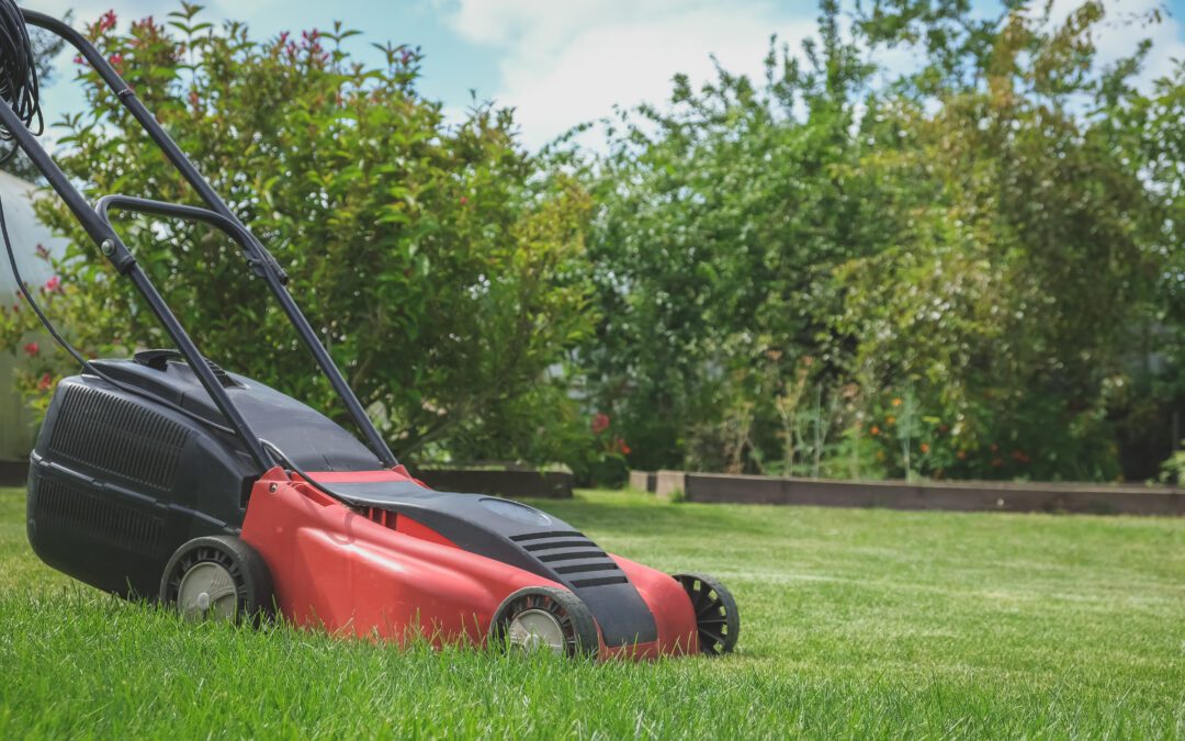 Push Lawnmower vs. Other Options: Pros and Cons for a Perfect Cut