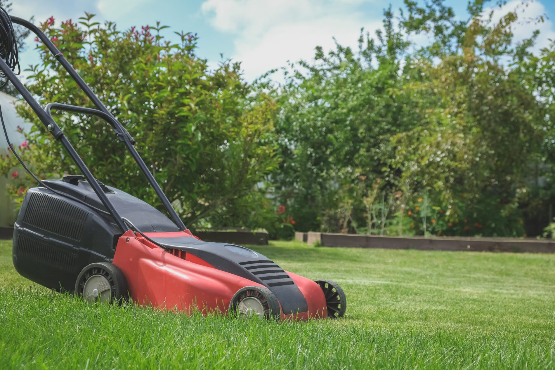 Best Push Lawnmower vs. Other Options Pros and Cons