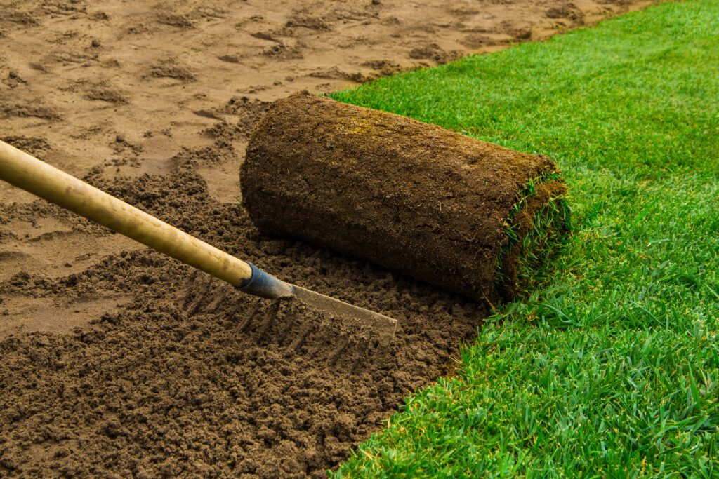 Get the Greenest Grass in Town with My Neighbor Services - Sod Installation in McKinney TX