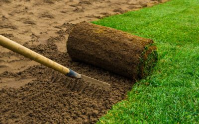 Get the Greenest Grass in Town with My Neighbor Services – Sod Installation in McKinney, TX