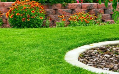 How to Choose the Best Landscaping Company in Texas for Your Project