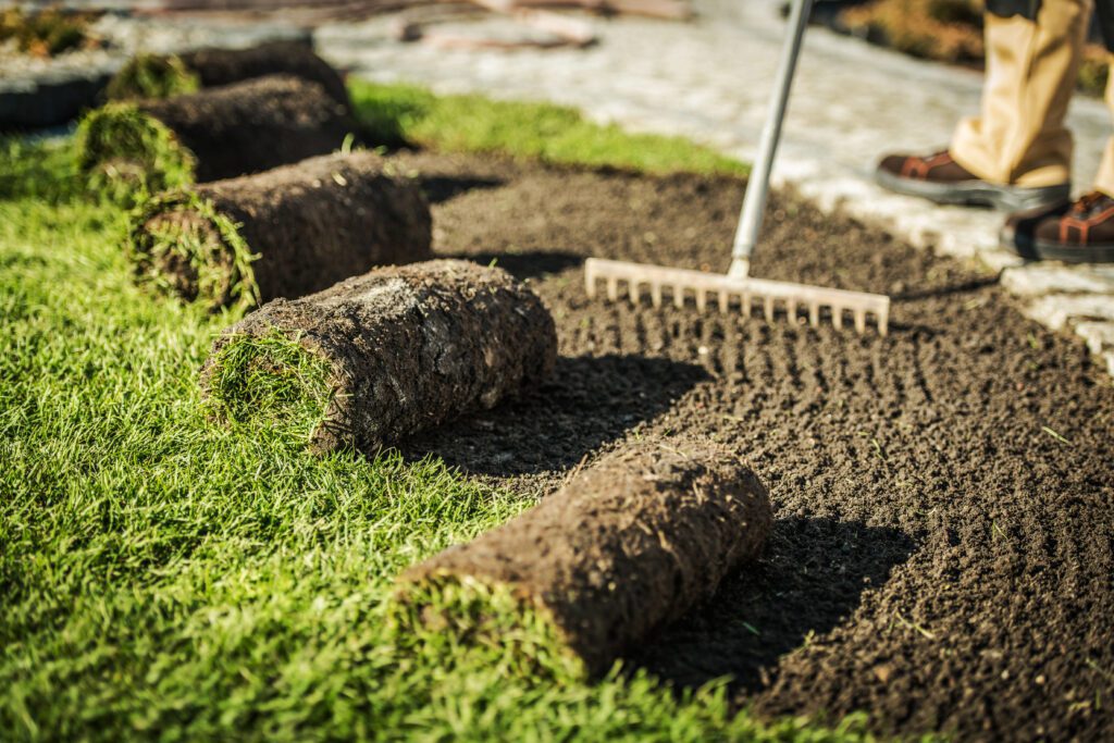 Professional vs. DIY Sod Installation in Frisco Which Is Best