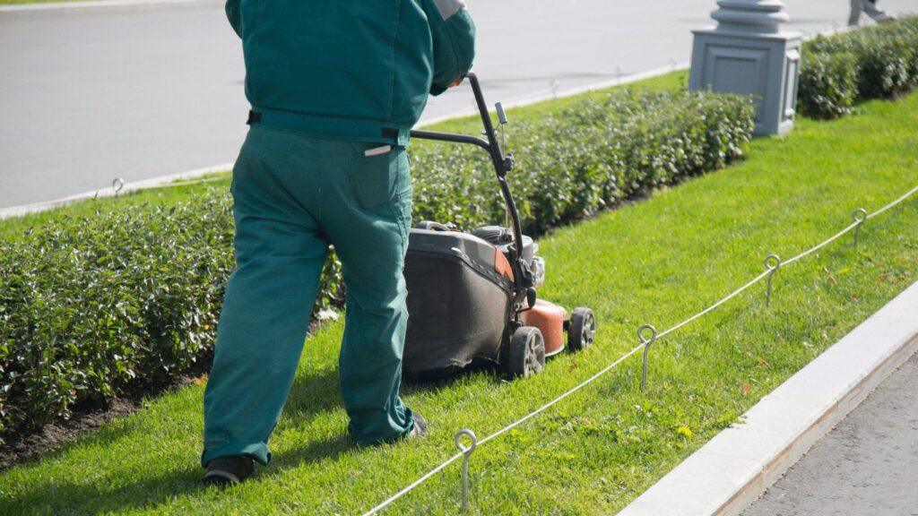 The Best Lawn Mowing in Texas Finding the Sweet Spot for Your Grass
