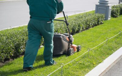 Best Lawn Mowing Services: Discover How to Keep Your Yard Healthy and Beautiful
