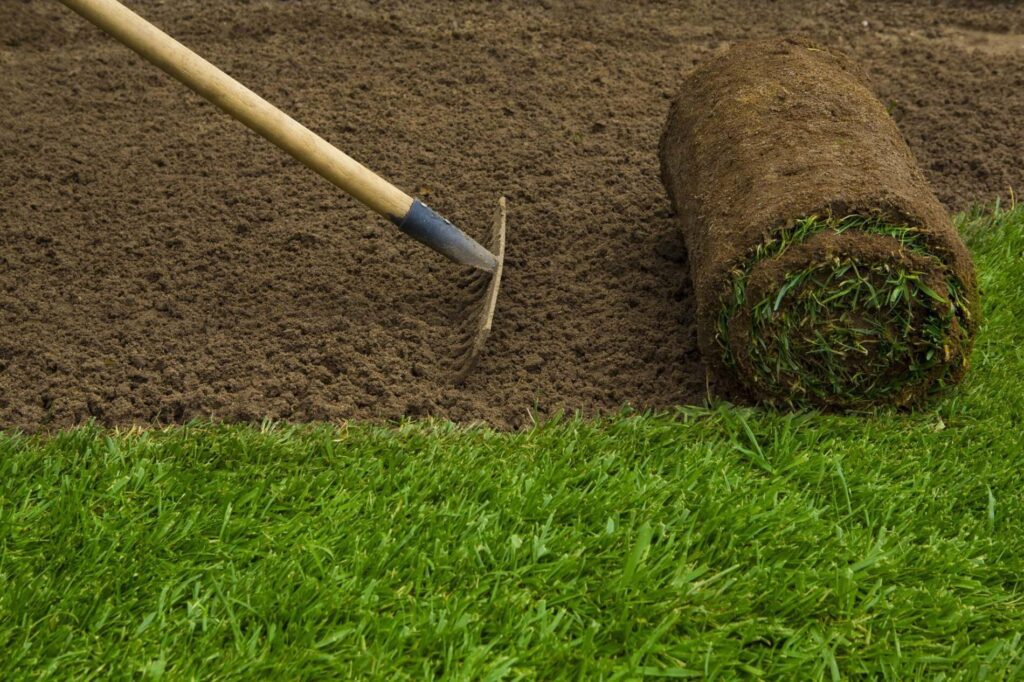 Sod Installation in Allen TX: A Comprehensive Beginner's Guide with My Neighbor Services