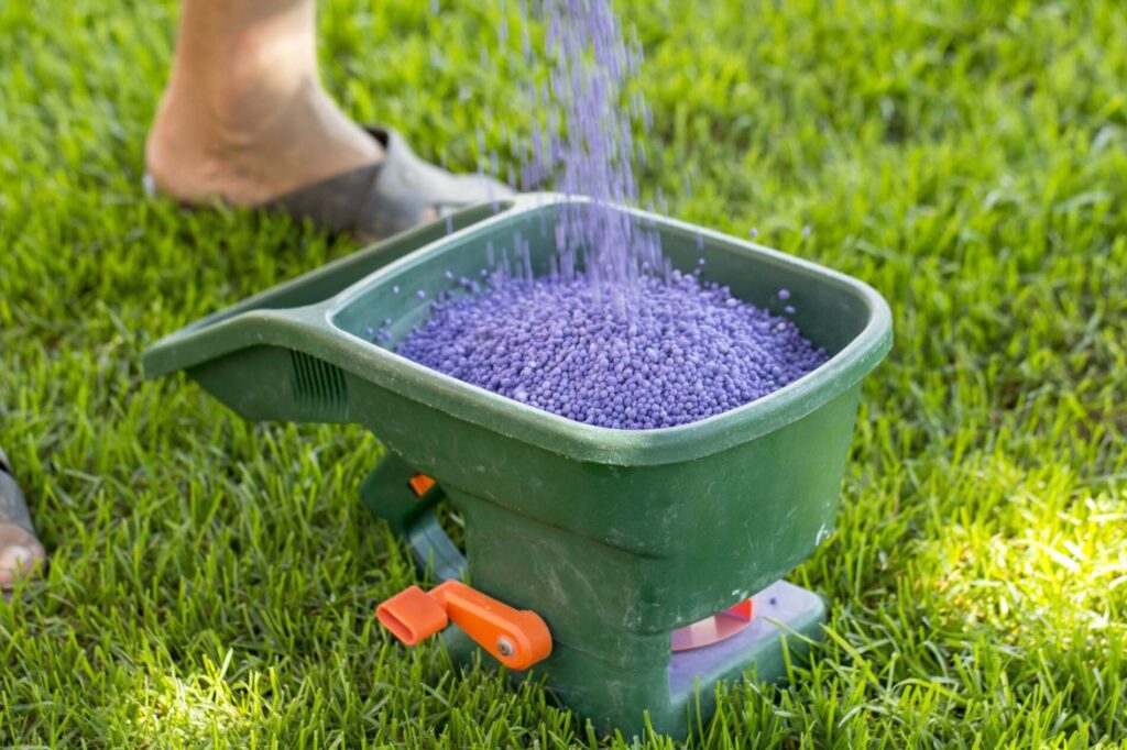 The Ultimate Guide to Best Practices of Lawn Fertilization in Allen TX