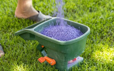 The Ultimate Guide to Best Practices of Lawn Fertilization in Allen TX