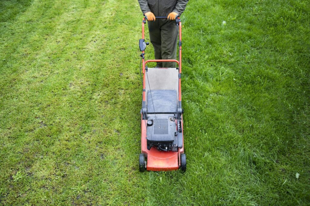 Unmatched Excellence: My Neighbor Services - Your Go-To Lawn Treatment Service in Allen