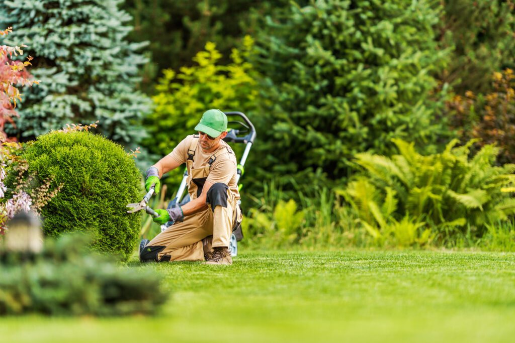 Maximizing Property Value The Impact of Landscaping Service in Allen TX