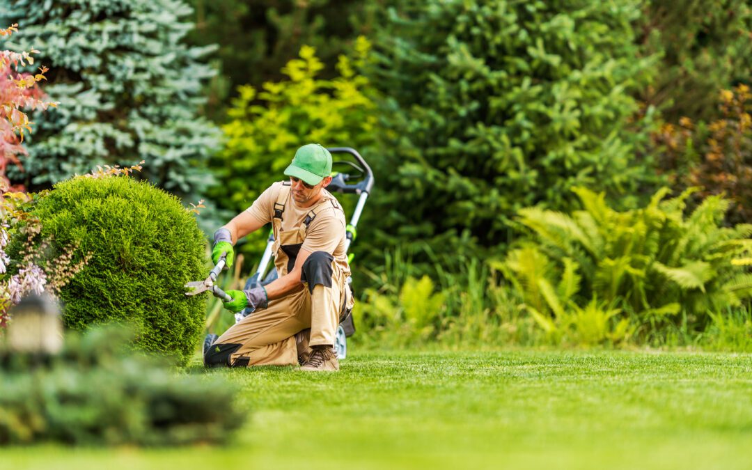 Maximizing Property Value: The Impact of Landscaping Service in Allen TX