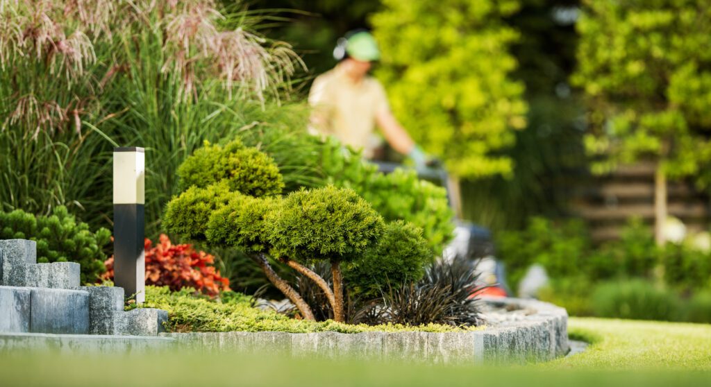 The Ultimate Step-by-Step Guide to Transformative Landscape Service in Allen TX