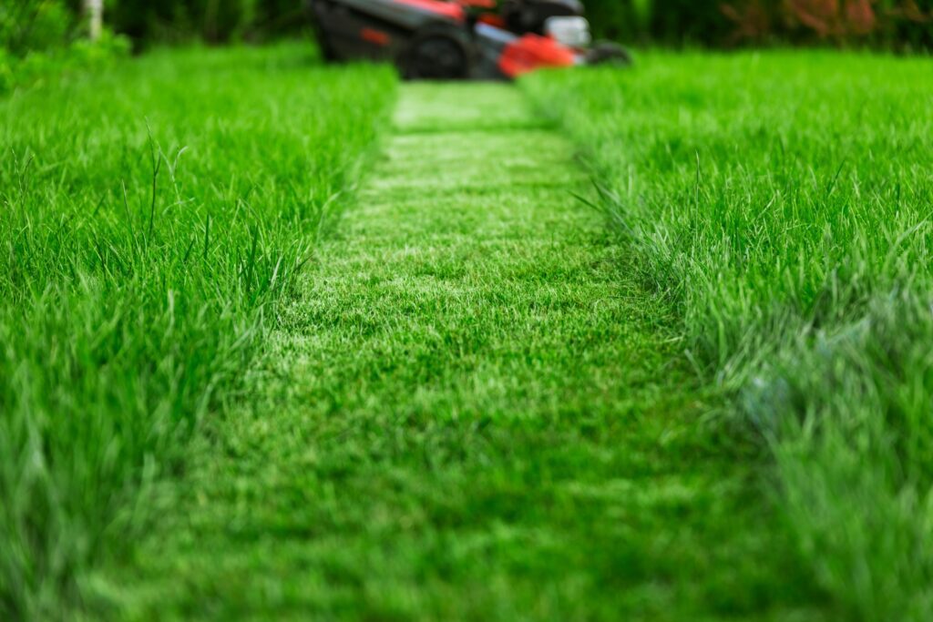 Cracking the Code Insider Tips from Allen TX Lawn Service Pros for Weed-Free Lawns That Wow!