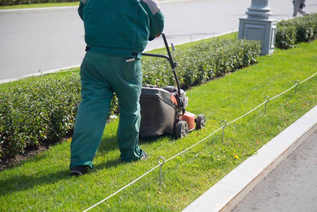 DIY vs. Professional Allen TX Lawn Services Pros and Cons with My Neighbor Services  