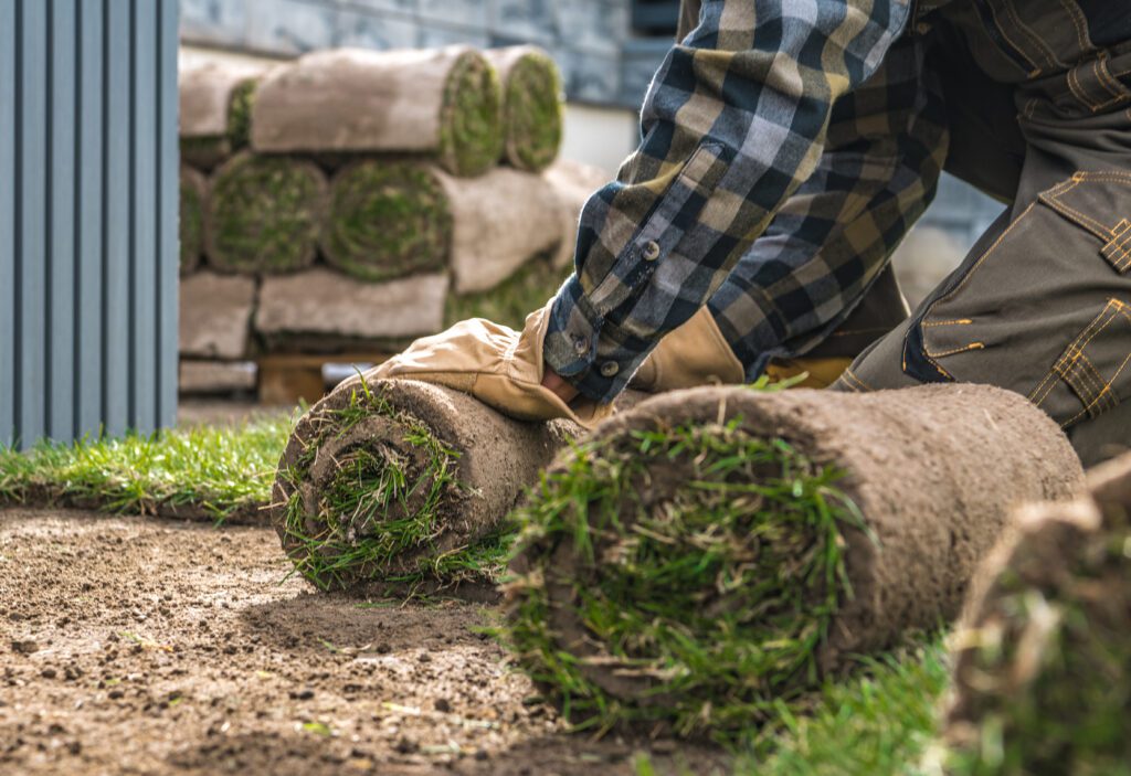 Mastering the Art of Allen Sod Installation Step-by-Step Expert Techniques