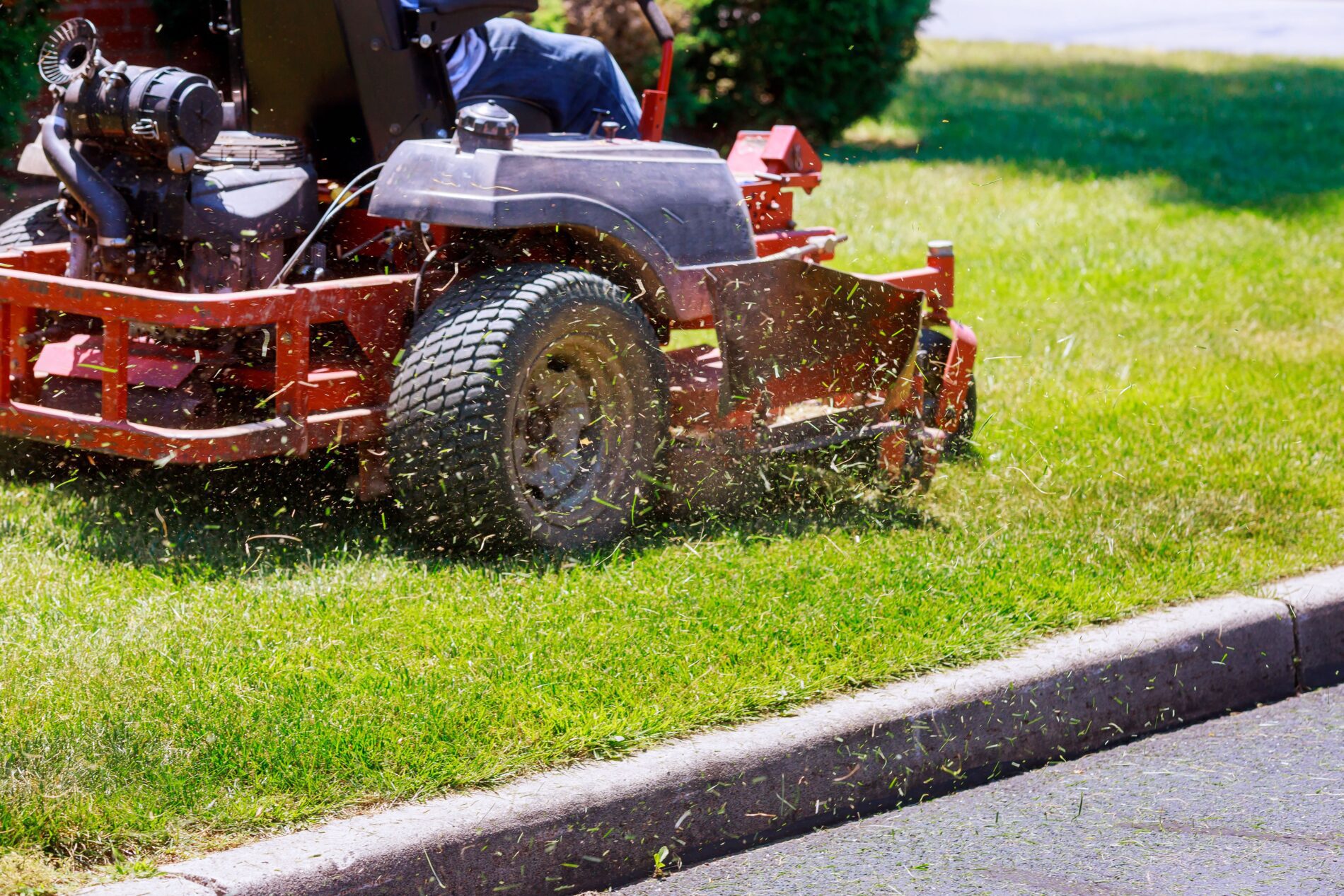 View of Best Lawn Care Service in Allen TX - My Neighbor Services