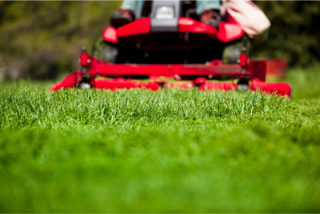 5 Essential Benefits of Professional Allen Lawn Mowing You Can't Ignore!