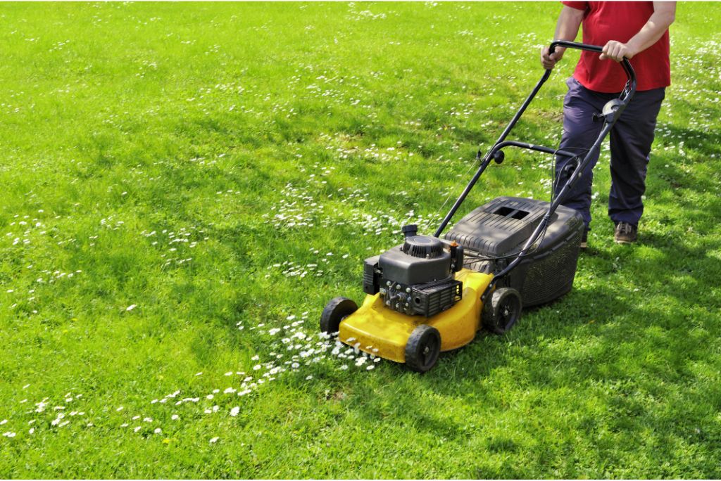 5 Essential Benefits of Professional Allen Lawn Mowing You Can't Ignore!
