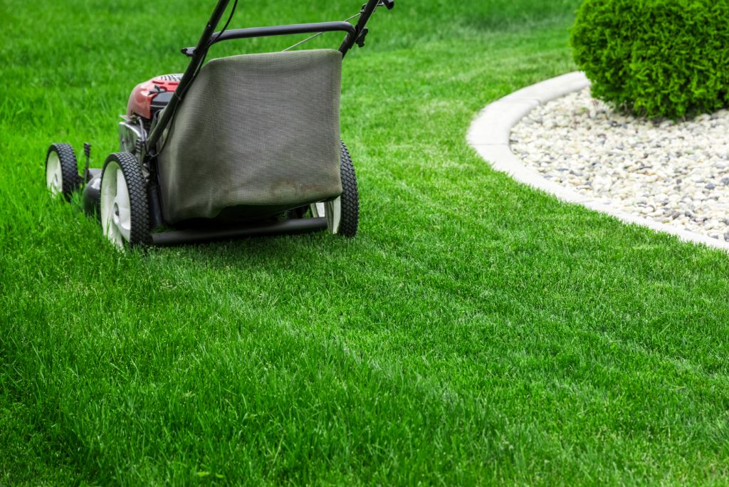 Mow Now, Wow Later Why Professional Lawn Mowing in Allen TX Are Worth Every Penny!