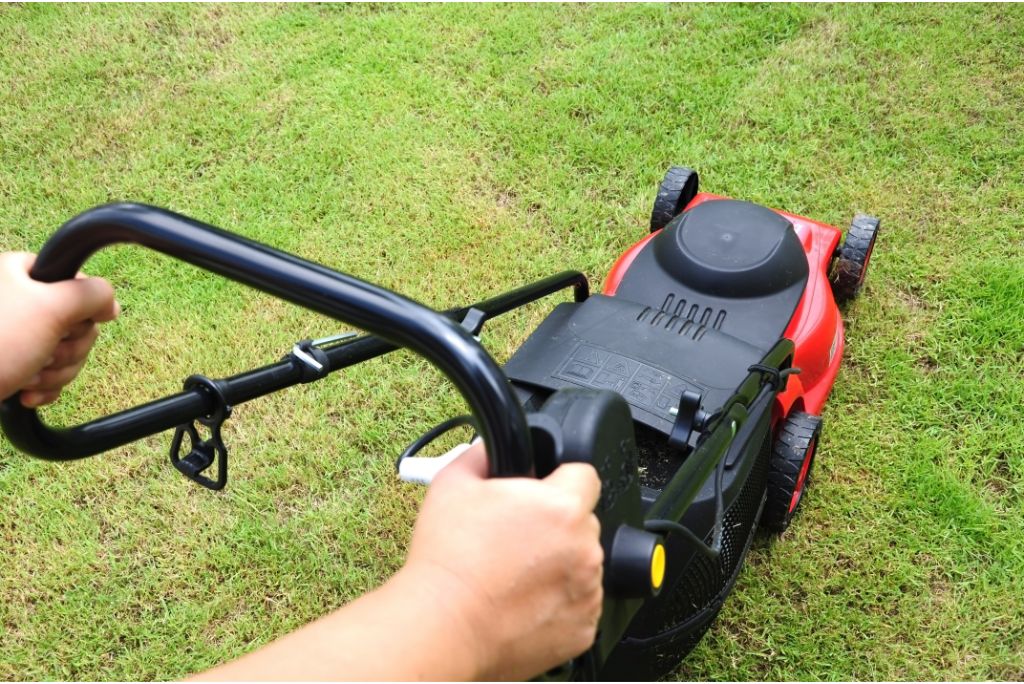 Mow Now, Wow Later Why Professional Lawn Mowing in Allen TX Are Worth Every Penny!
