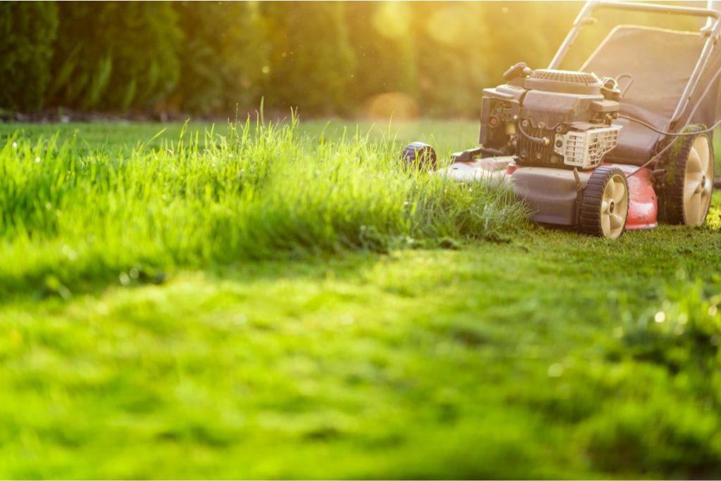 Secrets to Perfectly Manicured Lawns Expert Allen TX Lawn Mowing Tips Revealed!