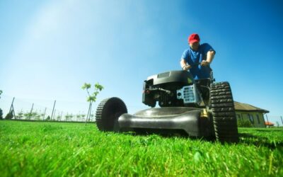 Secrets to Perfectly Manicured Lawns: Expert Allen TX Lawn Mowing Tips Revealed!