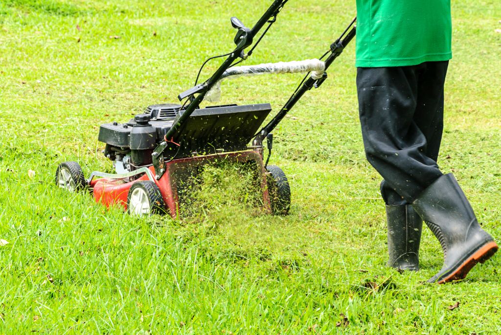 The Art of Precision Why You Need Professional Lawn Mowing Service in Plano TX