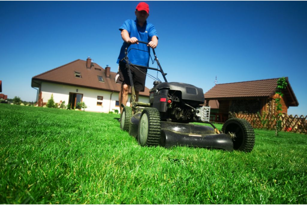 The Art of Precision Why You Need Professional Lawn Mowing Service in Plano TX