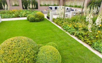 5 Proven Cost-Effective Tips for Commercial Landscaping in Plano TX