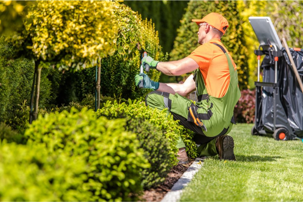 5 Proven Strategies to Elevate Your Brand Image with Commercial Landscaping in Sachse TX