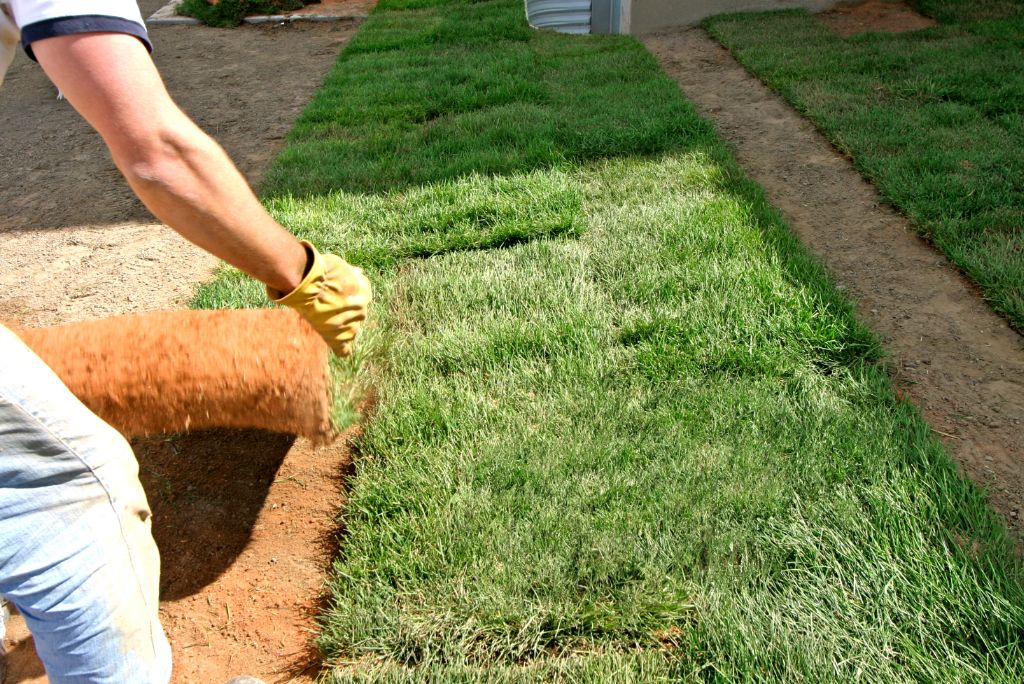 5 Secrets Only the Best Commercial Landscaping Company in Frisco TX Will Tell You