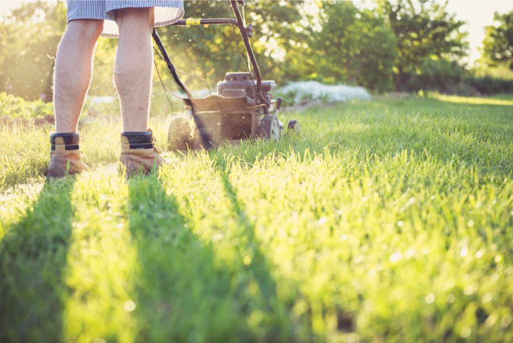 5 Surefire Signs It's Time to Call a Professional Lawn Mowing Service in Allen TX