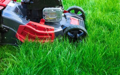 How to Book a Professional Lawn Mowing Service: Your Easy Guide to a Healthy, Beautiful Lawn