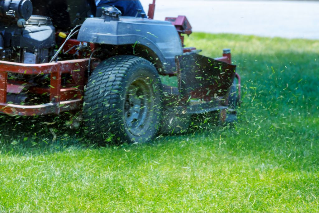 8 Proven Strategies for Maximizing ROI with Commercial Lawn Service in Plano TX