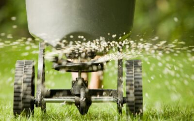 Landscaping Services List for Allen Homes