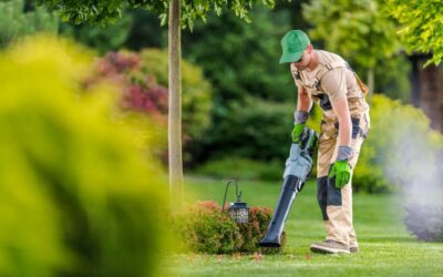 Lawn Care Frisco TX: Seasonal Schedule