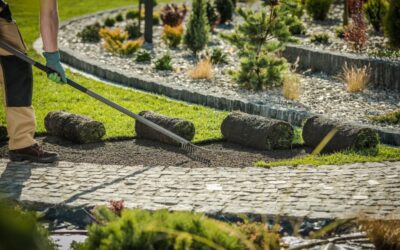 Sod Installation Timeline for North Texas Homes: Prep to First Mow