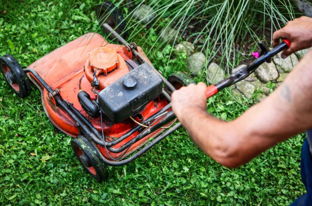 Deciphered: 7 Vital Questions to Ask Before Investing in Commercial Lawn Service in Murphy TX