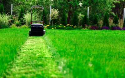 Lawn Mowing in Allen: 5 Damaging Mistakes (and How to Avoid Them)