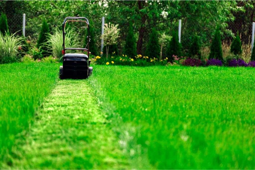 Lawn Mowing in Allen 5 Damaging Mistakes (and How to Avoid Them)