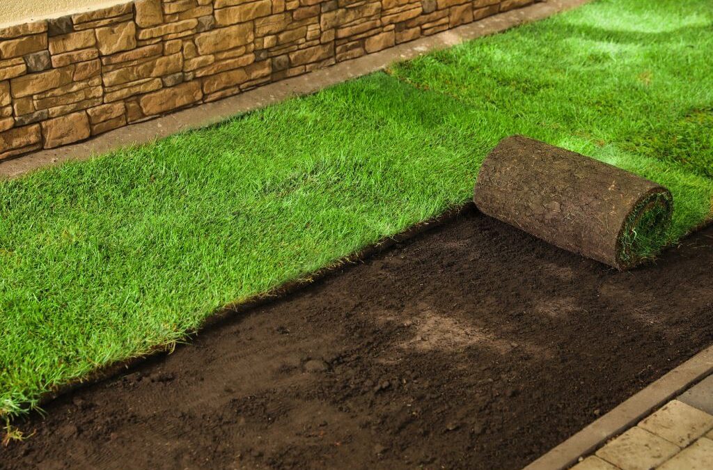 Where To Buy Premium Commercial Sod for Landscaping Businesses