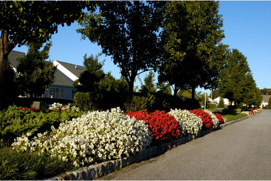 Stand Out from the Crowd How Professional Commercial Landscaping in TX Elevates Your Business Image