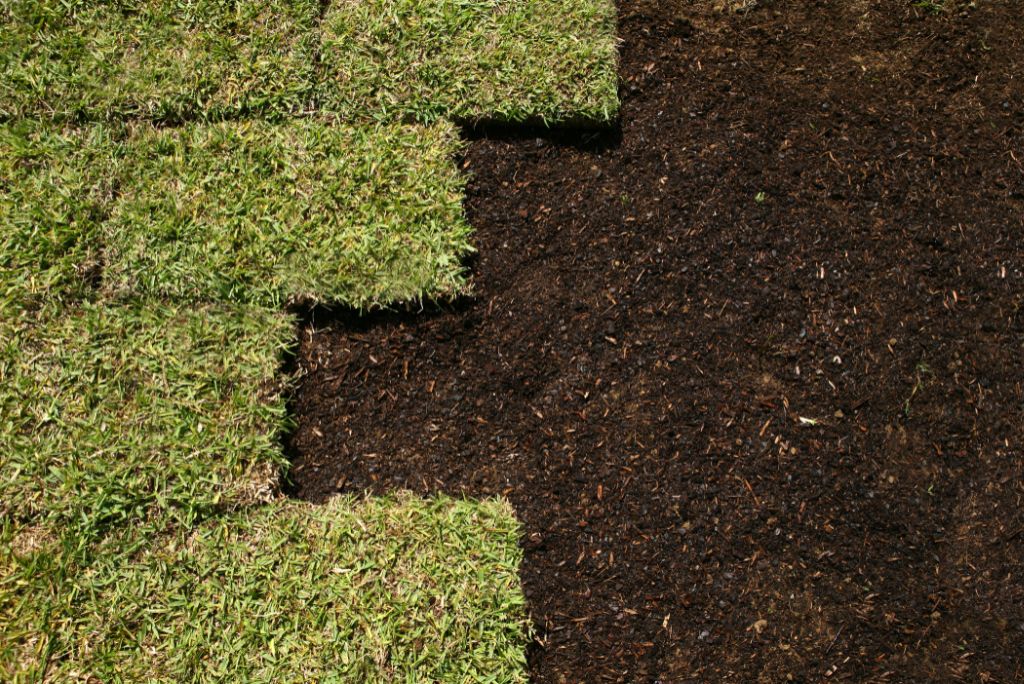 Transform Your Business Landscape The Ultimate Guide to Commercial Sod Grass in Texas