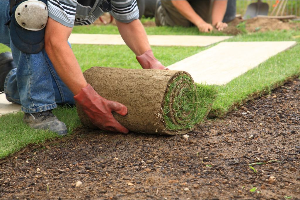 Transform Your Business Landscape The Ultimate Guide to Commercial Sod Grass in Texas