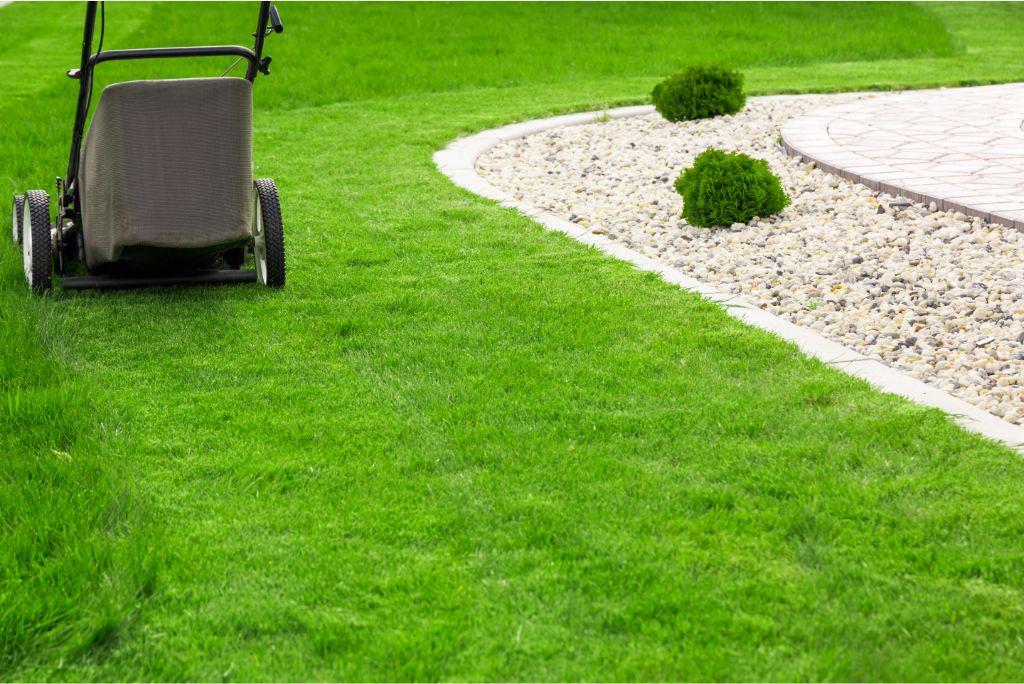 7 Essential Truths You Need to Know About Lawn Services in Allen TX