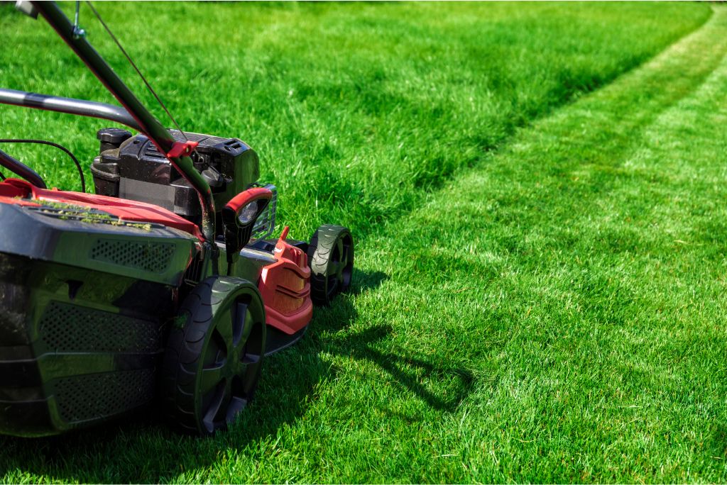 Landscape design for Cost-Effective Lawn Service in Allen TX