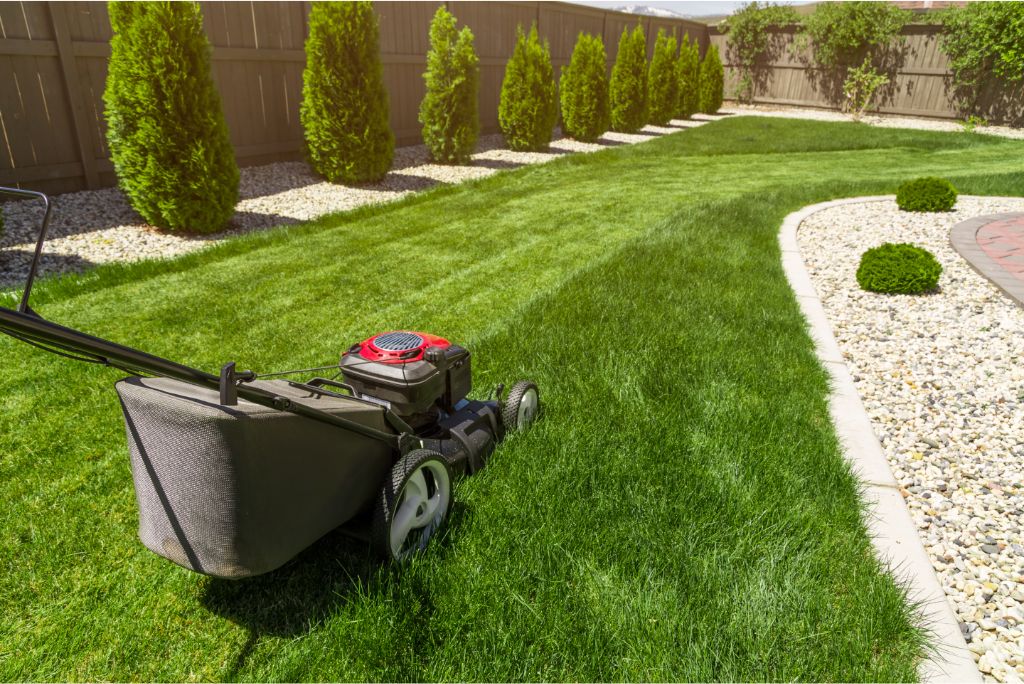 7 Simple Steps to Prepare for Lawn Service in Allen