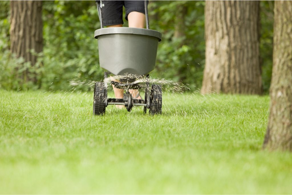 The Ultimate Science Behind Effective Lawn Fertilizer Service in Allen 5 Proven Methods